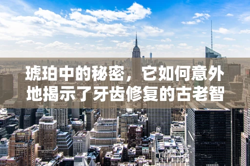 琥珀中的秘密，它如何意外地揭示了牙齿修复的古老智慧？