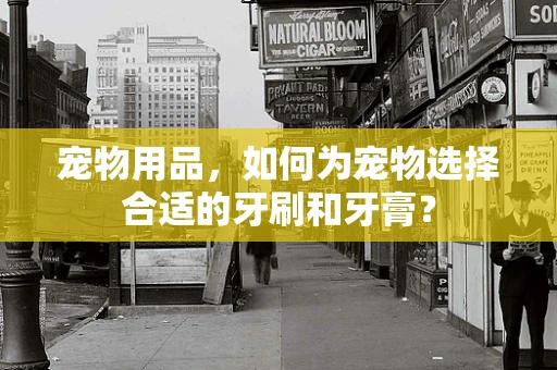 宠物用品，如何为宠物选择合适的牙刷和牙膏？