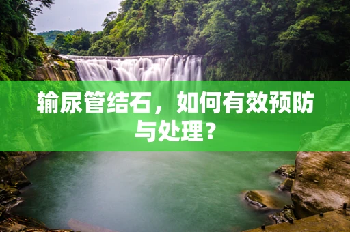 输尿管结石，如何有效预防与处理？