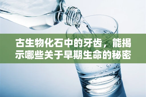 古生物化石中的牙齿，能揭示哪些关于早期生命的秘密？